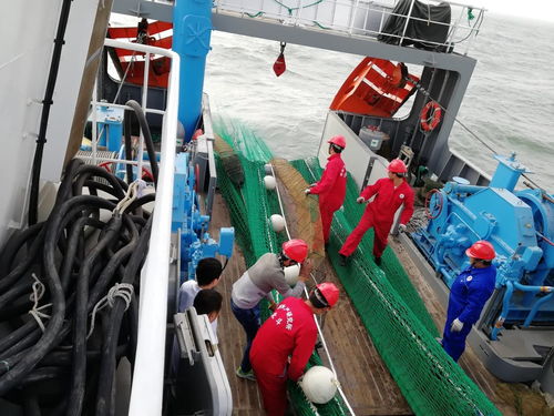 黃海水產(chǎn)研究所 北斗 號調(diào)查船 中漁科102 號調(diào)查船圓滿完成任務返航