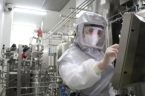 國產(chǎn)疫苗開始發(fā)力,生產(chǎn)車間加班加點(diǎn),預(yù)計(jì)年產(chǎn)1.2億劑