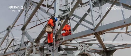 科技自強(qiáng) 會(huì)展矩陣 發(fā)力 多領(lǐng)域成果豐碩 高質(zhì)量發(fā)展步履鏗鏘